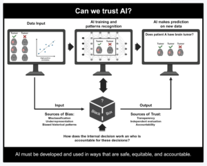 Diagram titled “Can we trust AI?” showing how AI learns patterns from labeled data and uses them to predict outcomes for new data. A black box represents the opaque internal decision-making process. Potential sources of bias include misclassification, underrepresentation, and biased historical patterns; sources of trust include transparency, independent evaluation, and accountability. The diagram emphasizes that AI must be developed and used safely, equitably, and accountably.